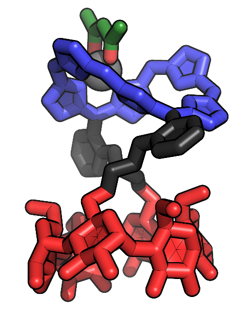 Un contrôle pour les molécules à anneau de Möbius