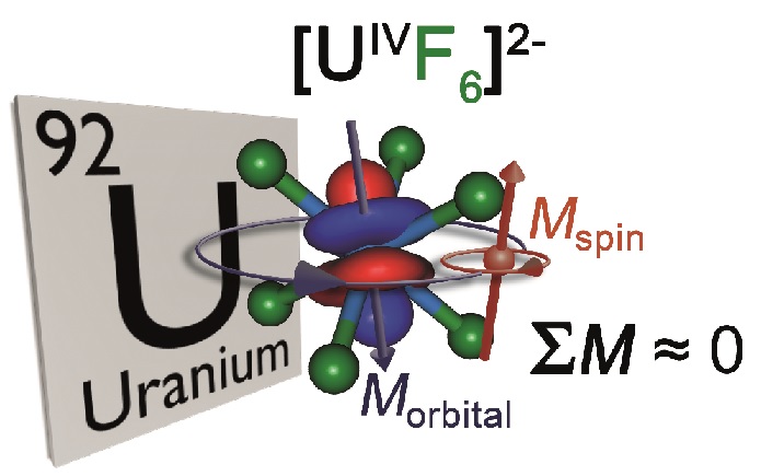 L'origine du magnétisme atypique de l'ion actinide Uranium (IV) enfin comprise