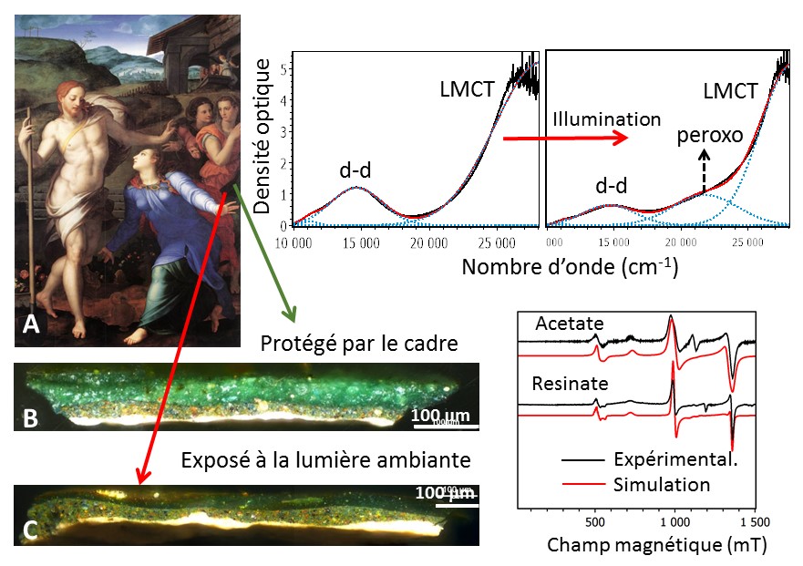 Le cuivre à l’origine du noircissement des tableaux de la Renaissance