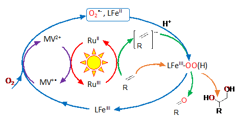 Photosynthèse artificielle: un pas de plus vers une photocatalyse efficace et propre