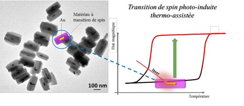 De l’or en nanobarreau pour un stockage de l’information moins énergivore