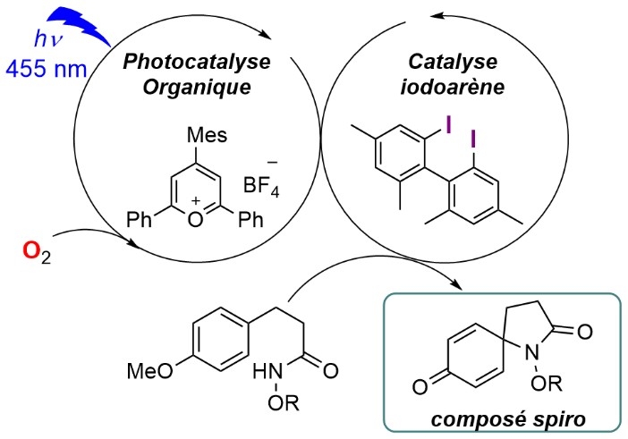 Chimie verte: deux catalyseurs agissent en synergie pour exploiter l’oxygène et la lumière