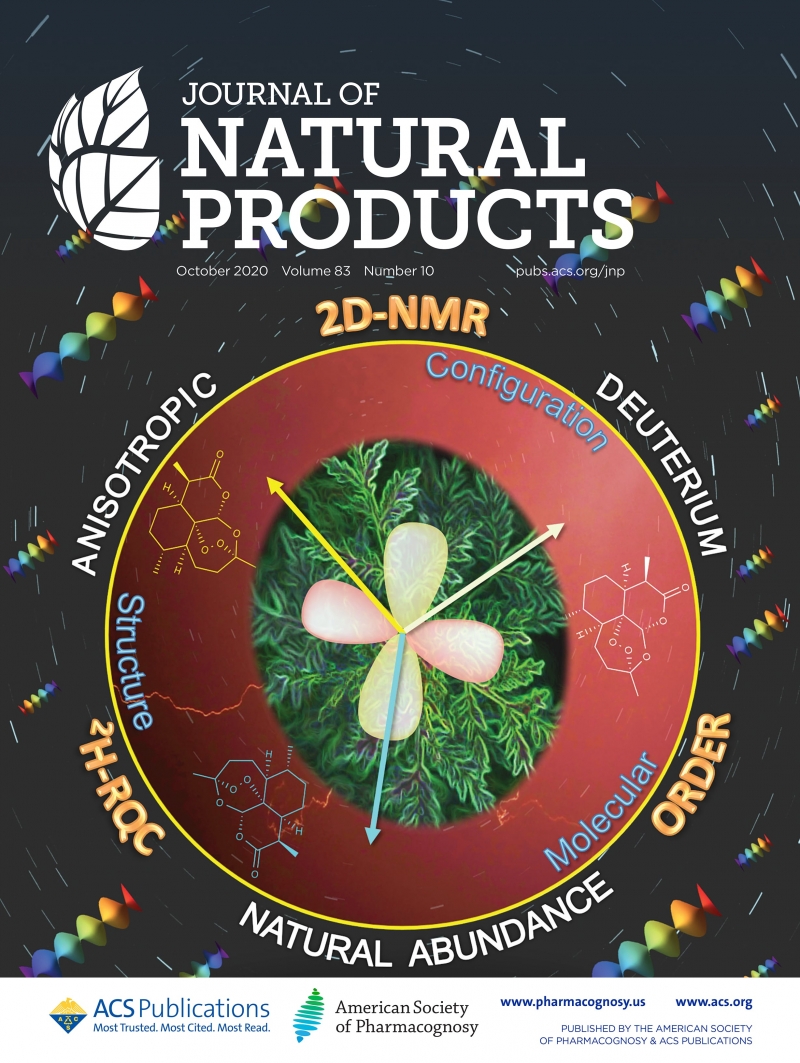 Une nouvelle spectroscopie de Résonance Magnétique Nucléaire : RMN 2D "DANA"