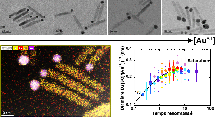 Une synthèse simple de nanomatériaux hybrides métal/semi-conducteur