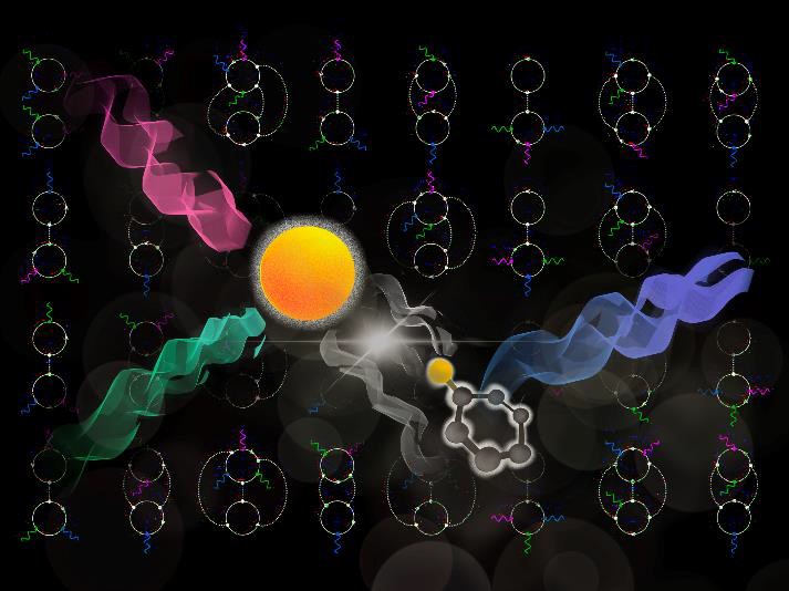 Systèmes complexes: dessine-moi la réponse optique