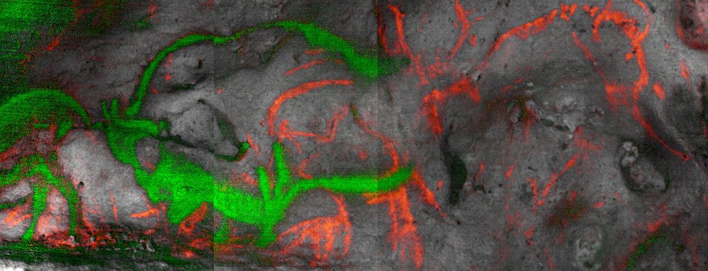 🧪 Datation absolue de peintures préhistoriques, dont celles de Lascaux