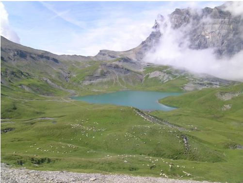 L'ADN sédimentaire révèle 6000 ans d'histoire de l'élevage archivés au fond d'un lac de montagne