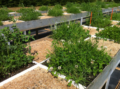 Agroécologie: rendement des cultures et biodiversité