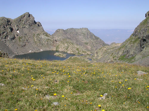 La biodiversité microbienne des sols des prairies de montagne influencée par les activités humaines