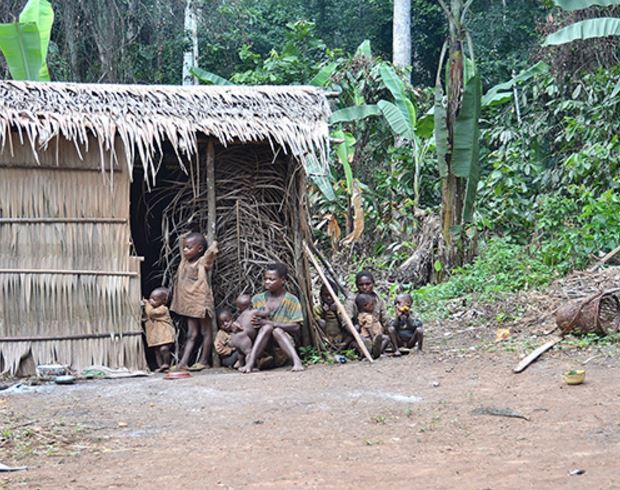 Chez Homo Sapiens, les dents ne sont pas des indics fiables