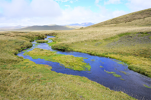 Mieux comprendre le fonctionnement des écosystèmes de rivière à l'échelle globale