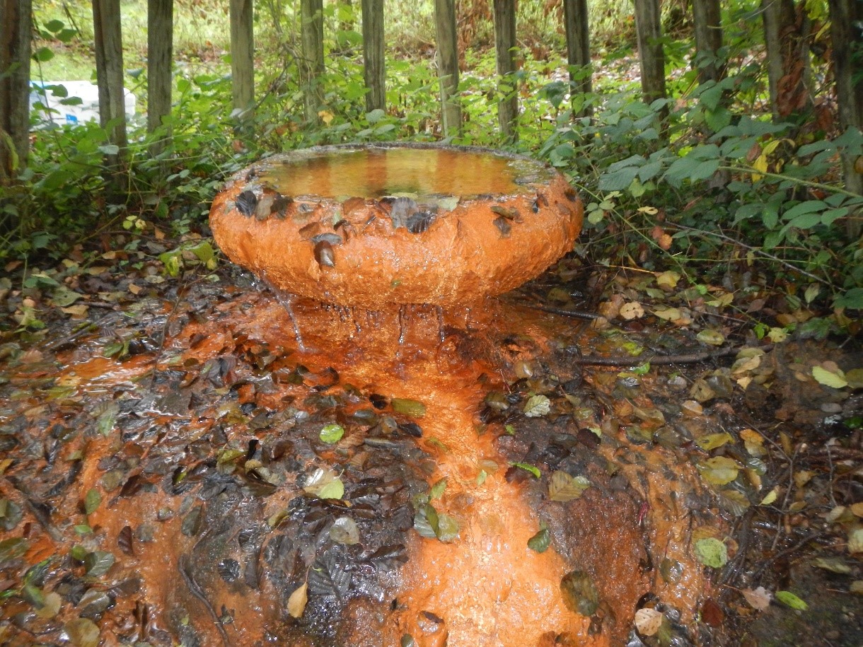 L’effet de la radioactivité naturelle sur les diatomées des sources minérales