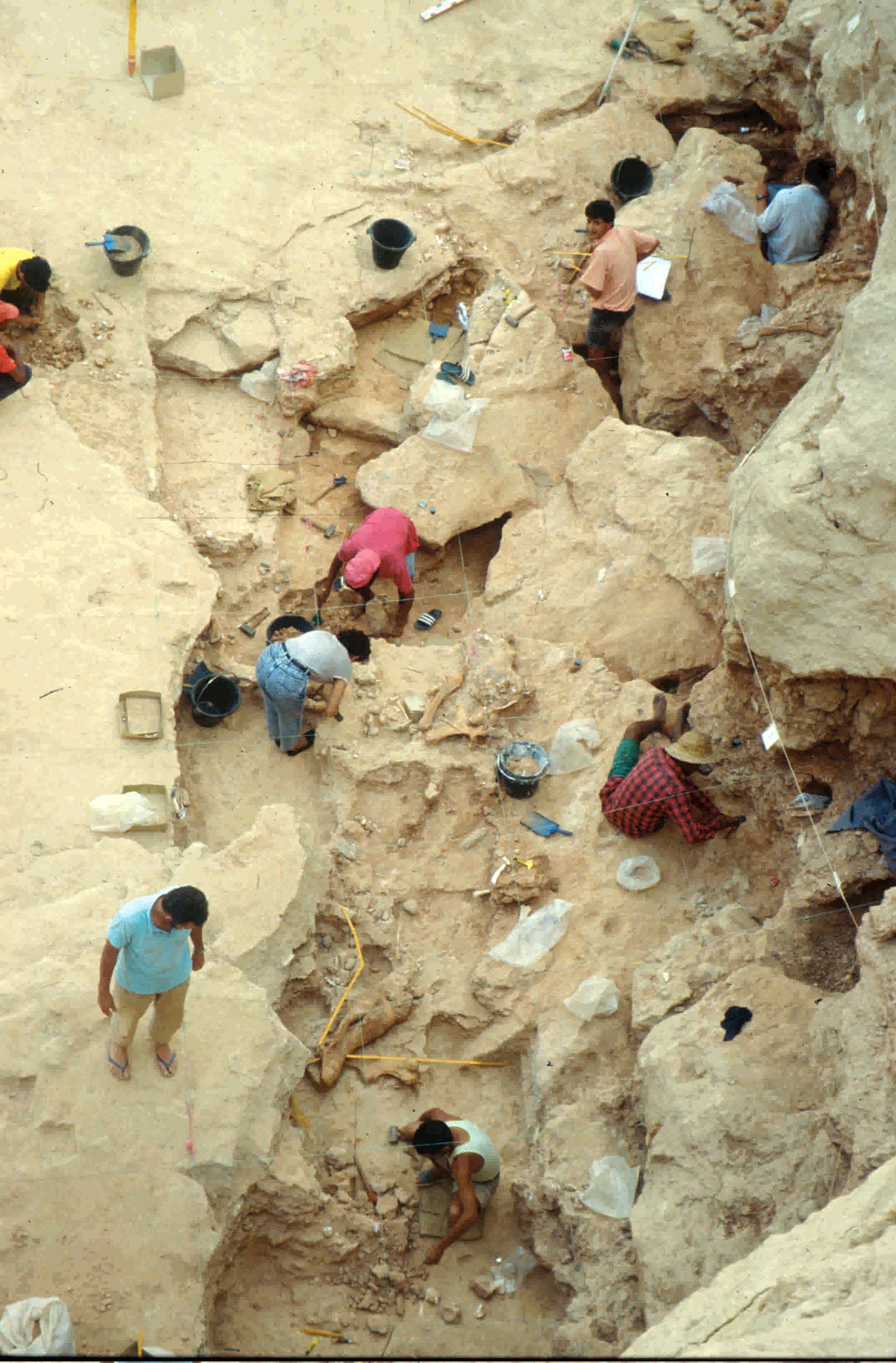Les plus anciennes traces de boucherie en grotte en Afrique