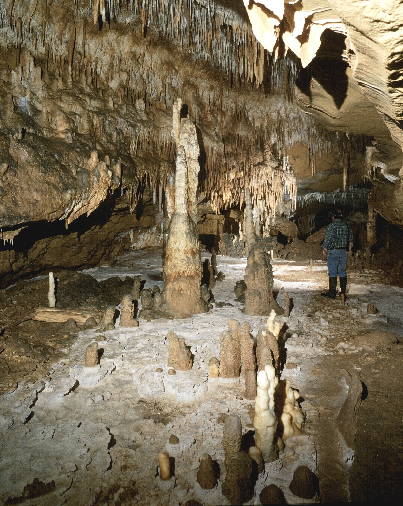 Les rites funéraires au Paléolithique supérieur dans la Grotte de Cussac en Dordogne
