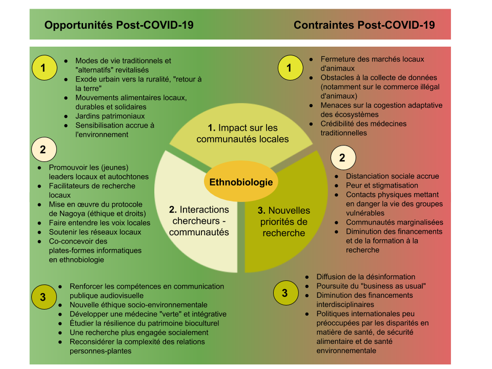 L’ethnobiologie repense la recherche à l’interface entre sociétés et environnements pour l’après COVID-19