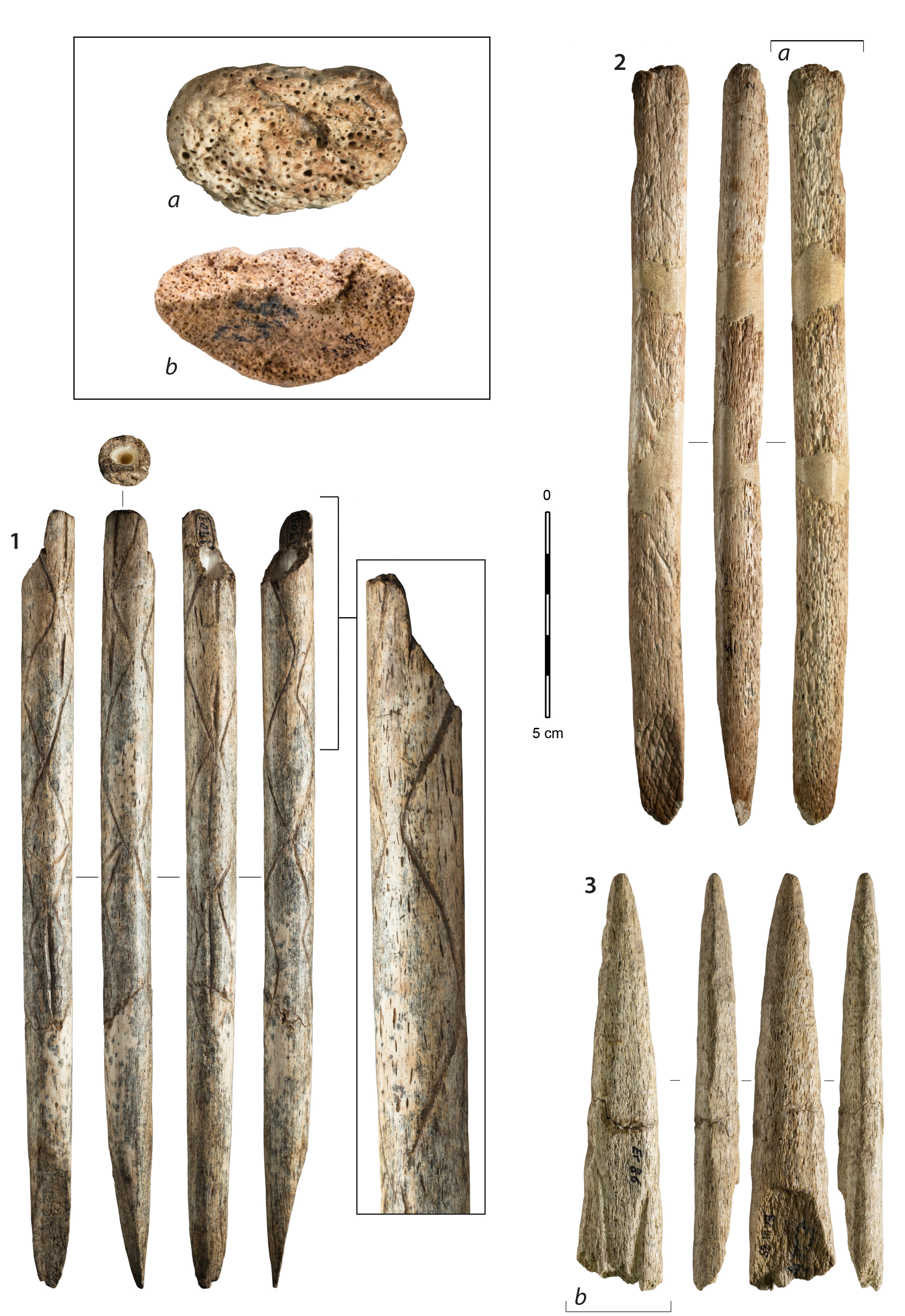 Les plus anciens objets fabriqués en os de baleine identifiés... dans les Pyrénées