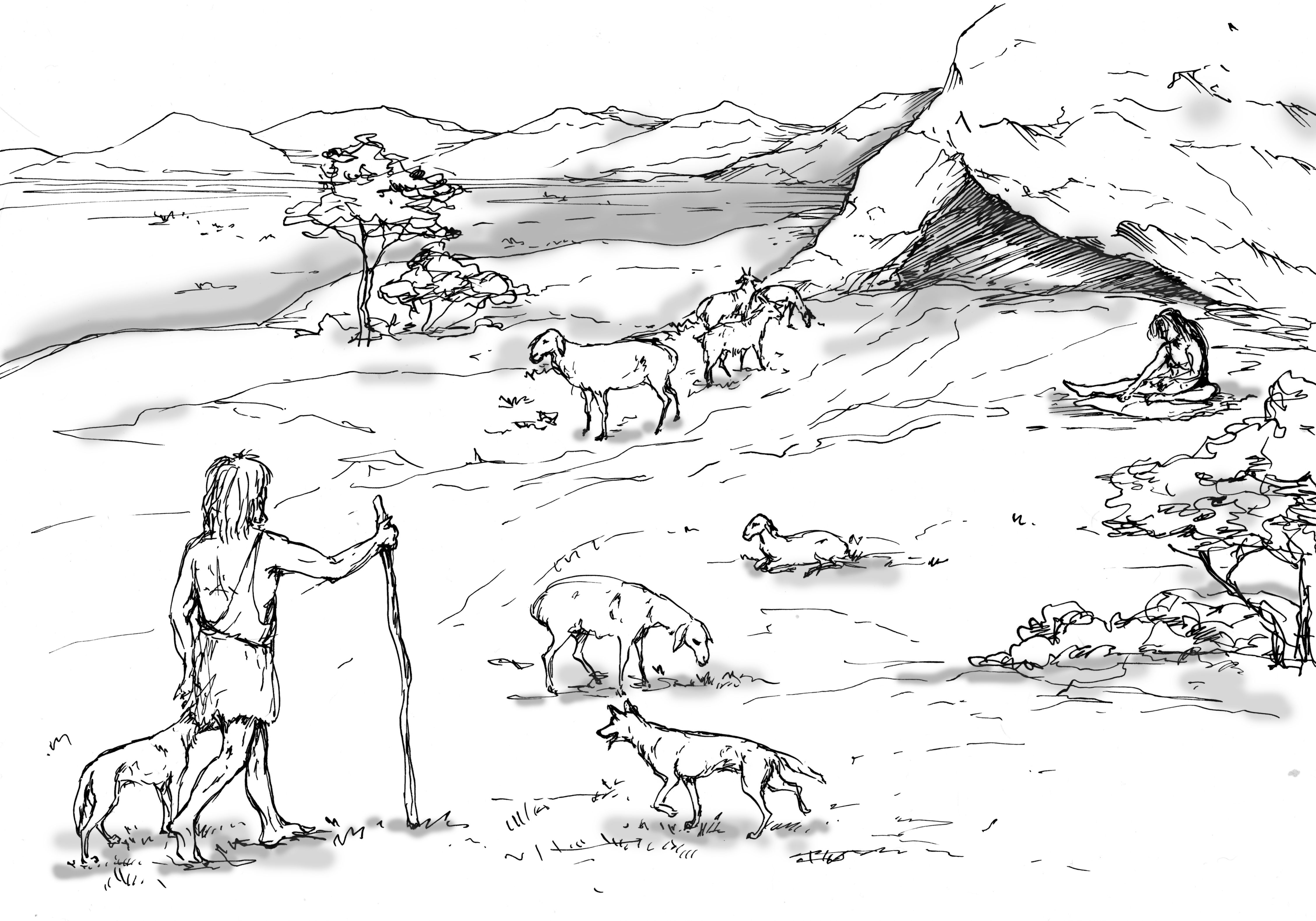 La domestication des animaux en Asie centrale remontent à au moins 8 000 ans
