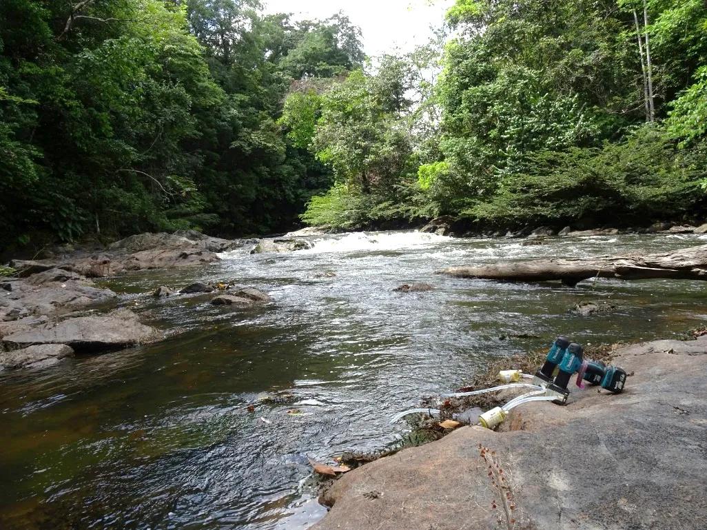 Singes, tapirs, loutres géantes et jaguars laissent leur empreinte dans les rivières amazoniennes