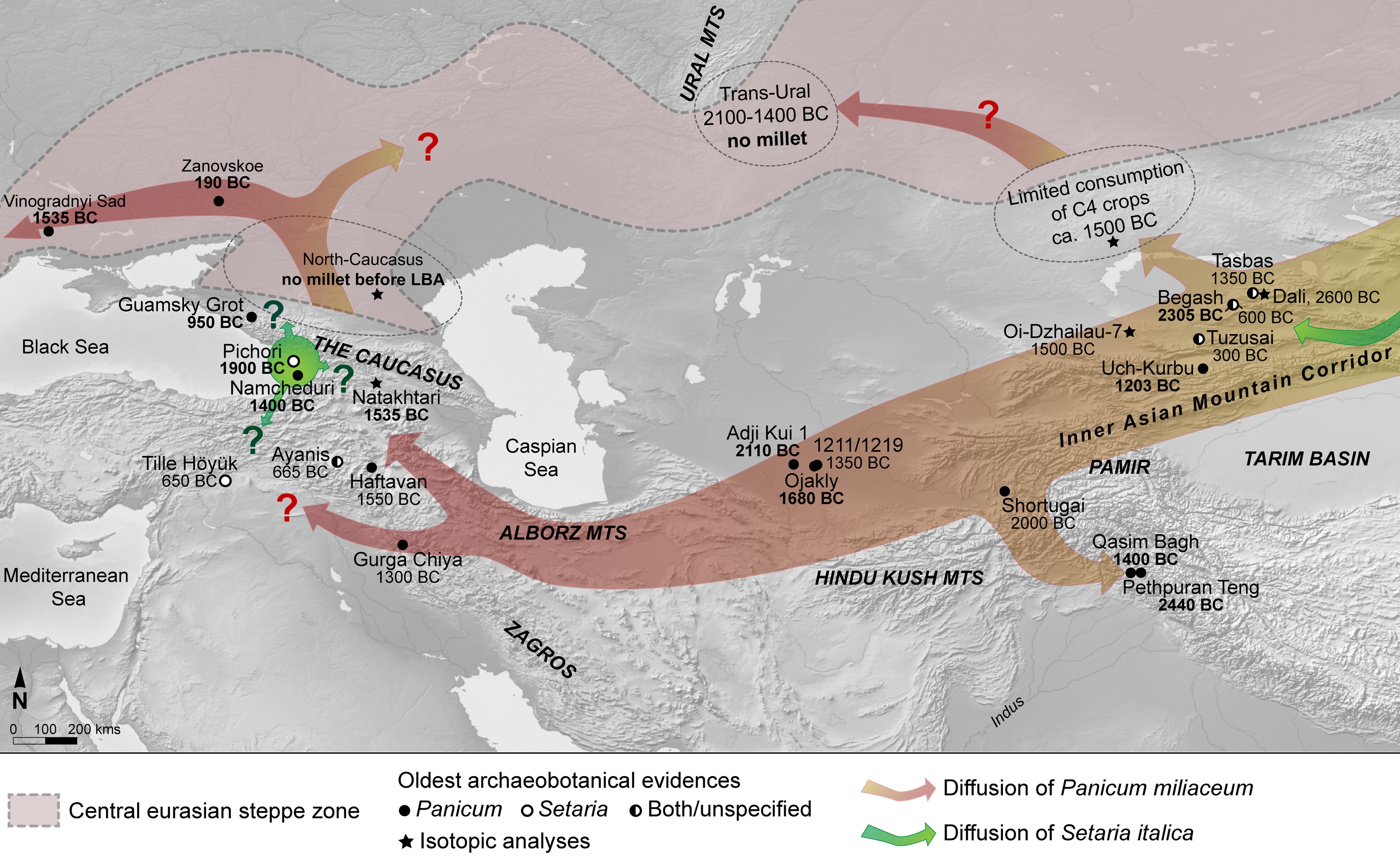 Découverte des plus anciennes traces de millet dans le Caucase