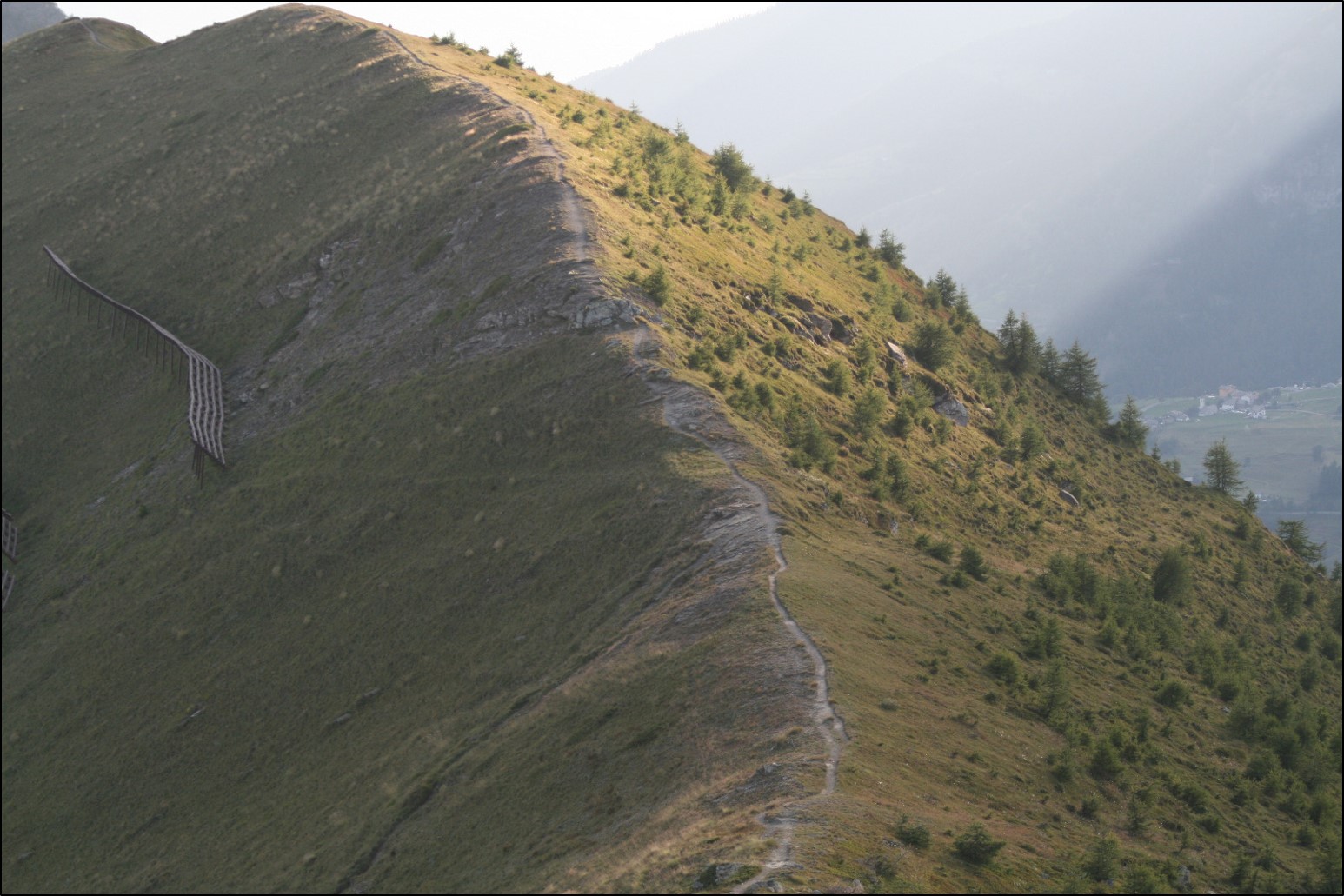 Les sommets des Alpes verdissent... et certains beaucoup plus vite que d’autres