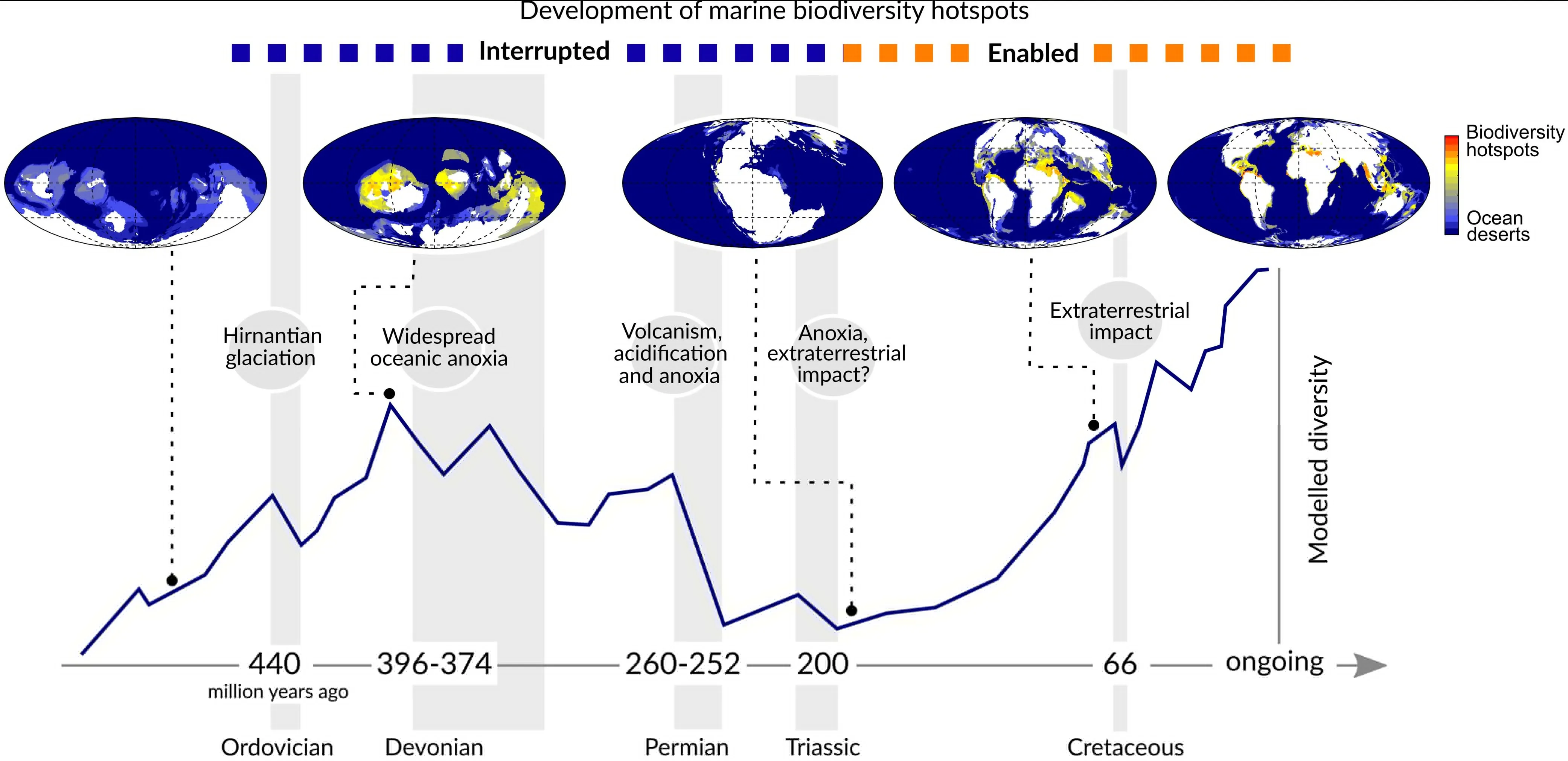 Aux origines de la biodiversité dans nos océans, la stabilité environnementale