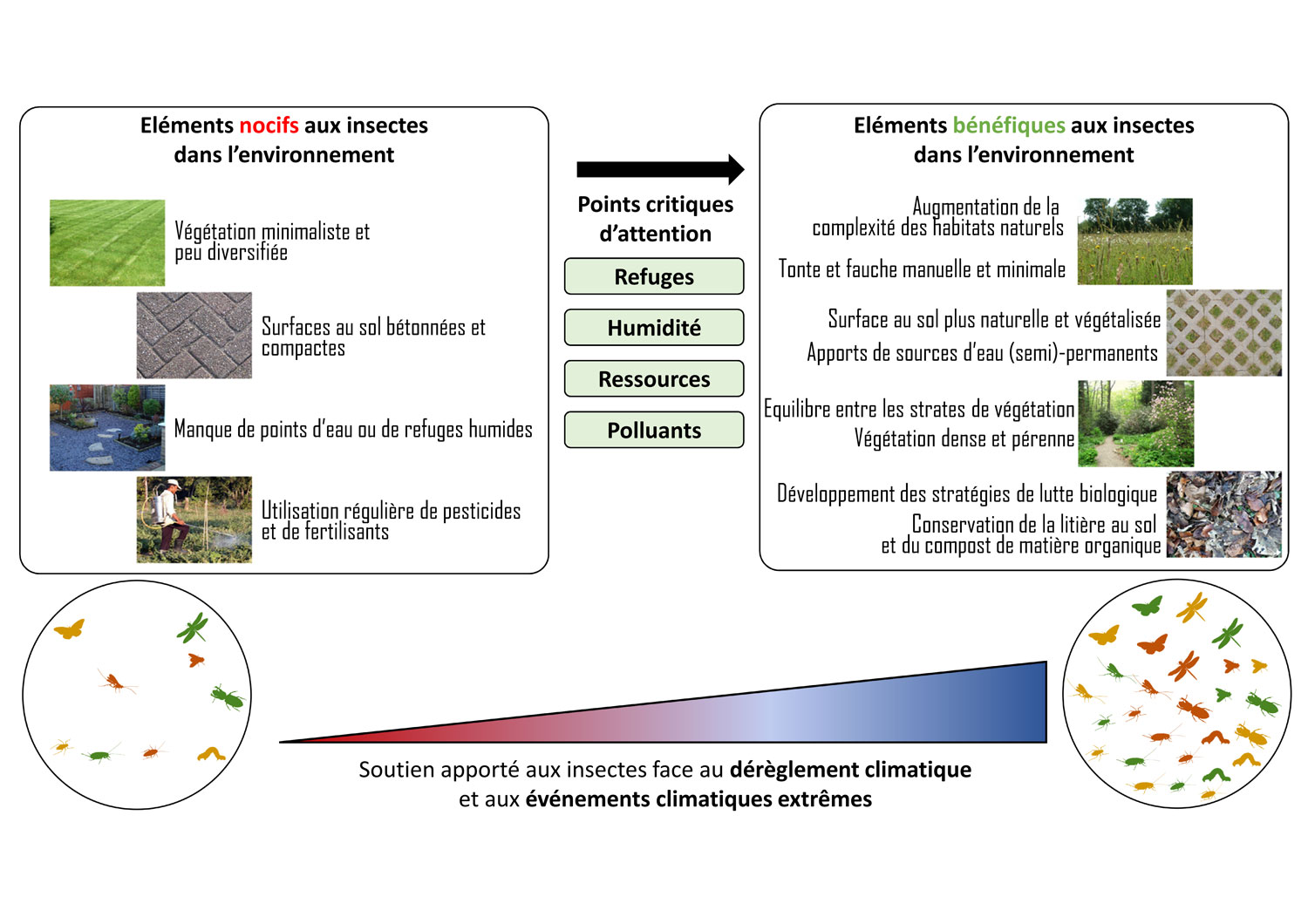 Les scientifiques lancent l’alerte à propos de l’impact du dérèglement climatique sur les insectes