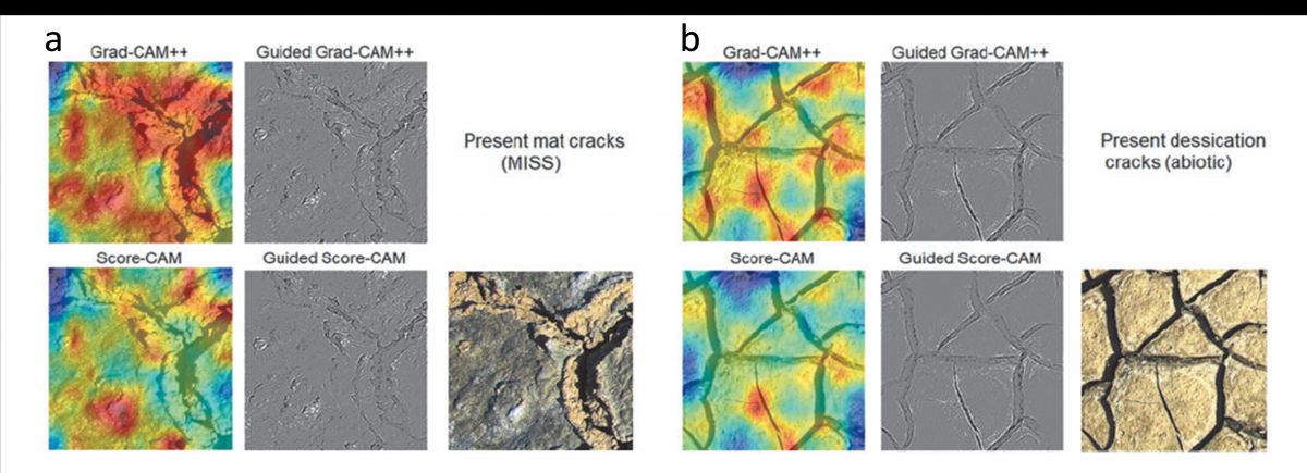 Une IA pour repérer les traces de vie sur les roches sur Terre et sur Mars