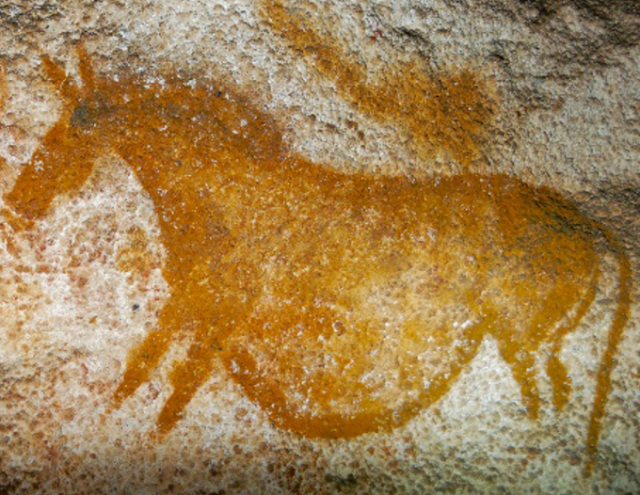 L'ADN ancien au secours d'espèces en voie de disparition: retracer leur évolution pour mieux les conserver