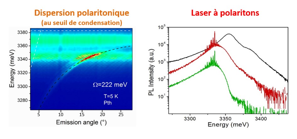 Un record de vitesse pour les condensats de polaritons