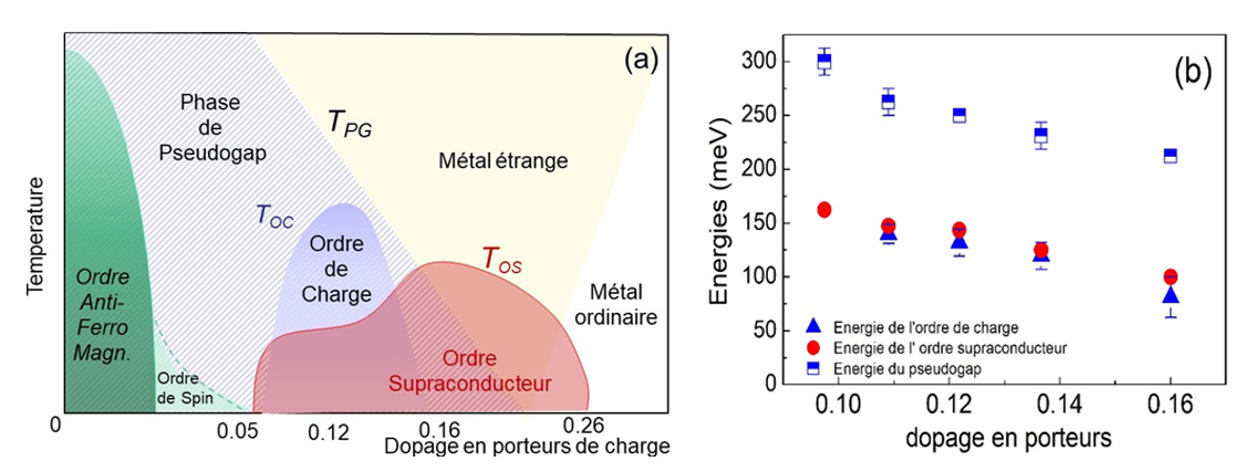 Un premier pas vers la compréhension de la supraconductivité à haute température dans les oxydes de cuivre