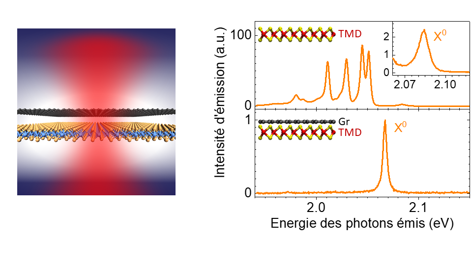 Le graphène comme filtre optique intégré pour des semiconducteurs bidimensionnels