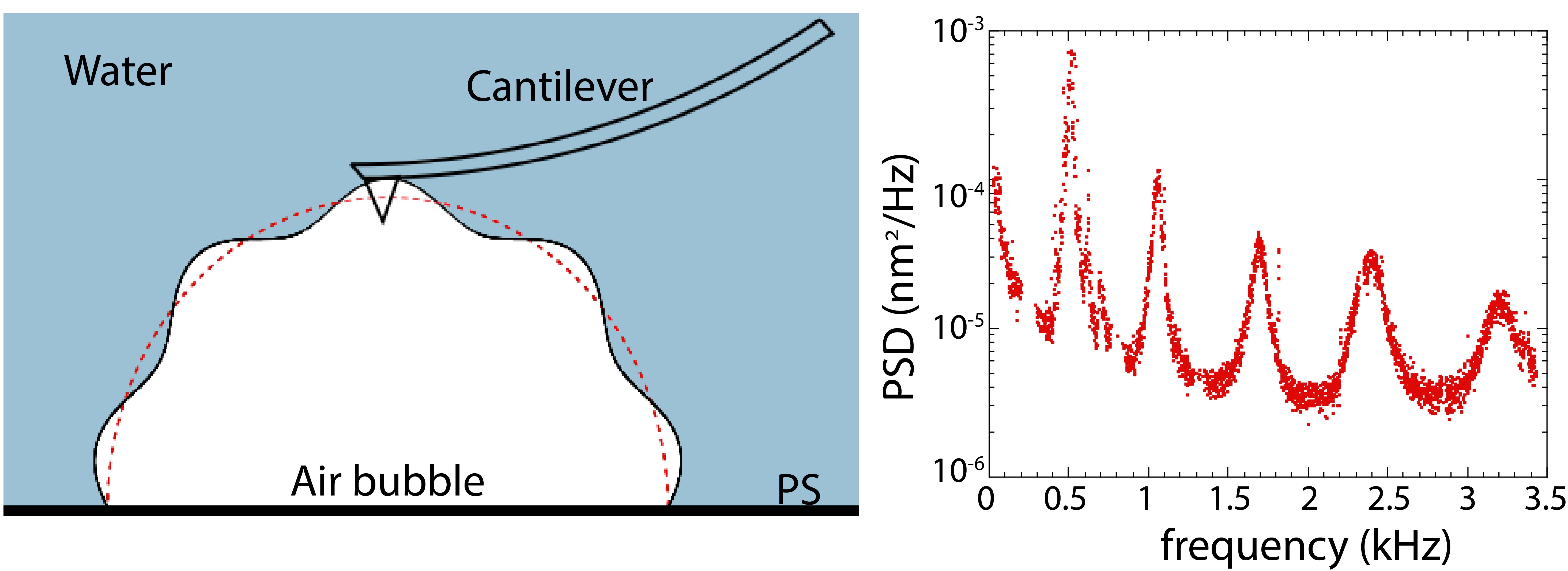 Mesurer les fluctuations thermiques d'une bulle d’air