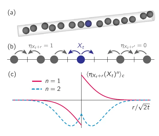 Une nouvelle équation pour la diffusion de particules en ligne