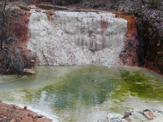 Diversité métabolique dans un écosystème riche en arsenic