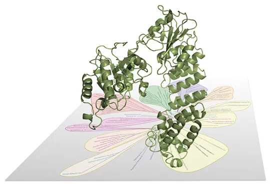 Evolution: comment les protéines remplacent-elles les enzymes à ARN ?