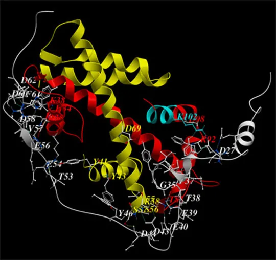 YL1, une chaperonne pour déposer l'histone H2A.Z sur la chromatine