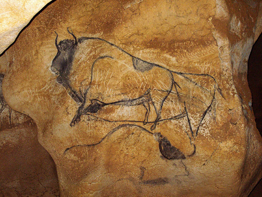 50 000 ans d'histoire du bison européen retracée grâce à l'ADN ancien