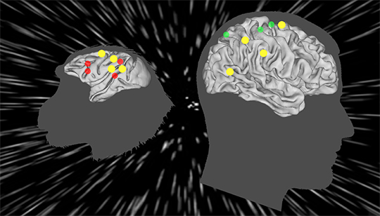 Le cerveau du primate en mouvement