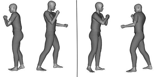L'étonnant pouvoir du système perceptif humain à traiter les scènes d'interaction sociale