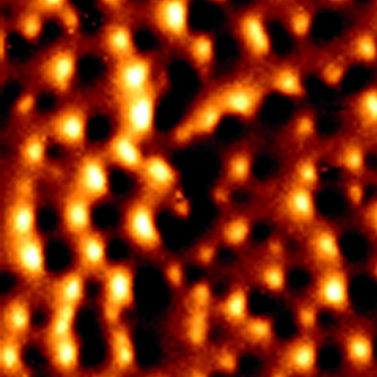 Que la force soit avec le podosome
