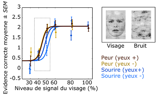 Les visages de peur sont perçus préférentiellement dès trois mois et demi de vie