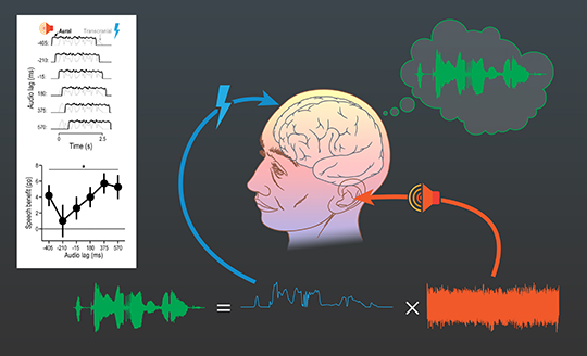 Bercer le cerveau pour faciliter la perception de la parole