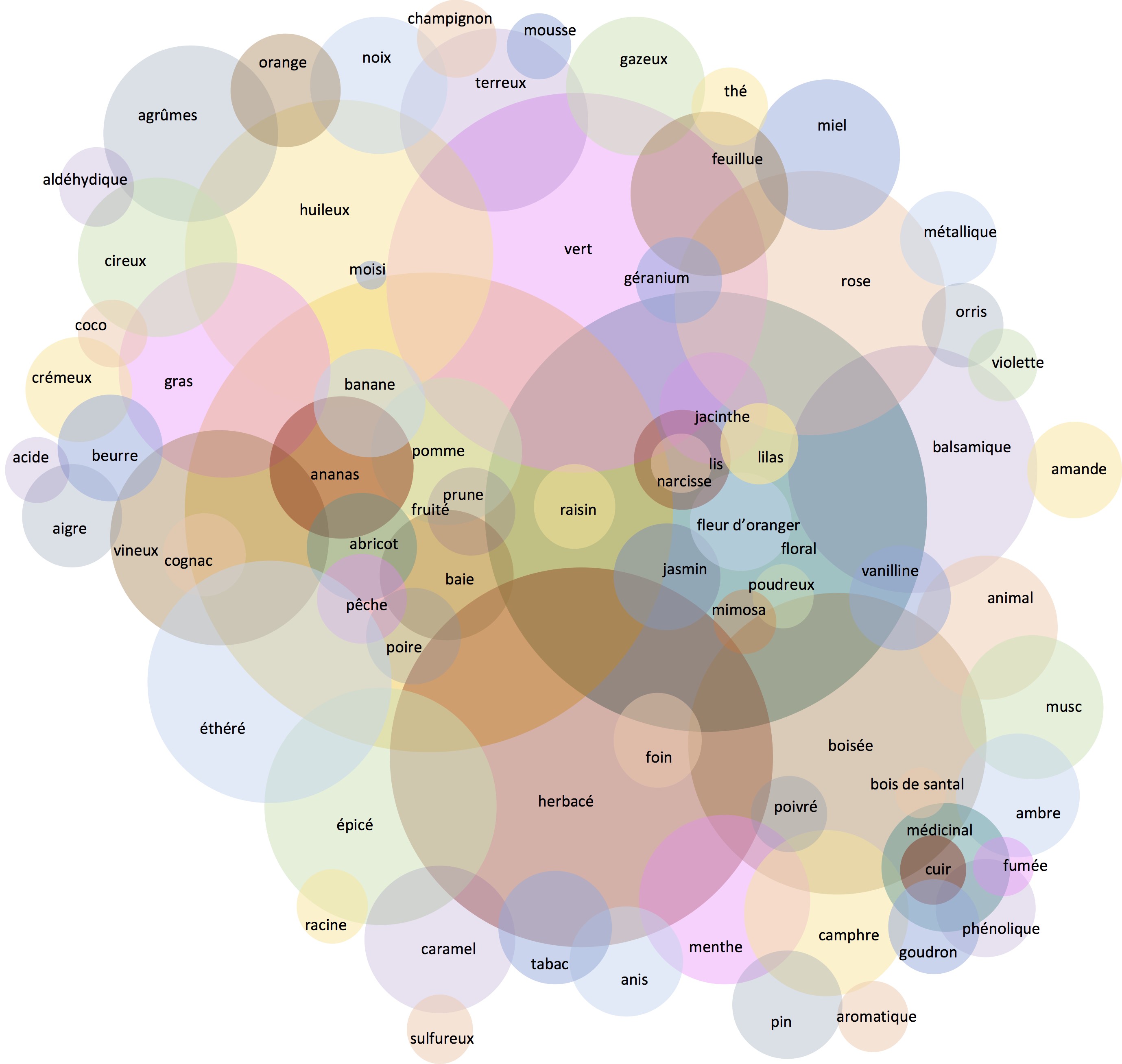 Les liens entre structure des odorants et perception olfactive révélés par l’intelligence artificielle