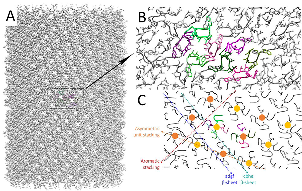 Le fabuleux monde nanométrique des assemblages de peptides