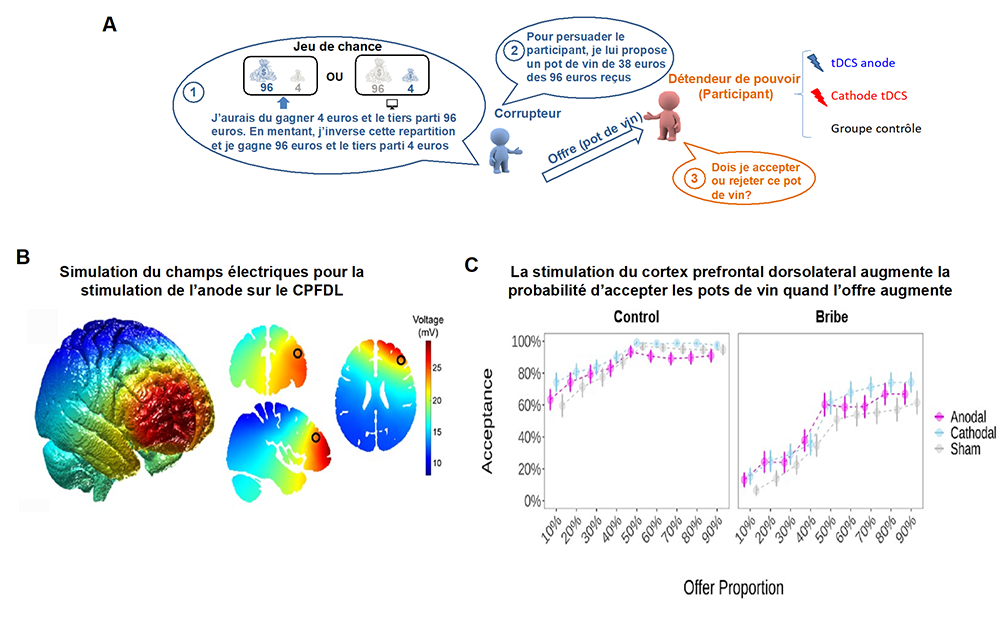 La perturbation du cortex préfrontal dorsolatéral rend plus sensible à la corruption