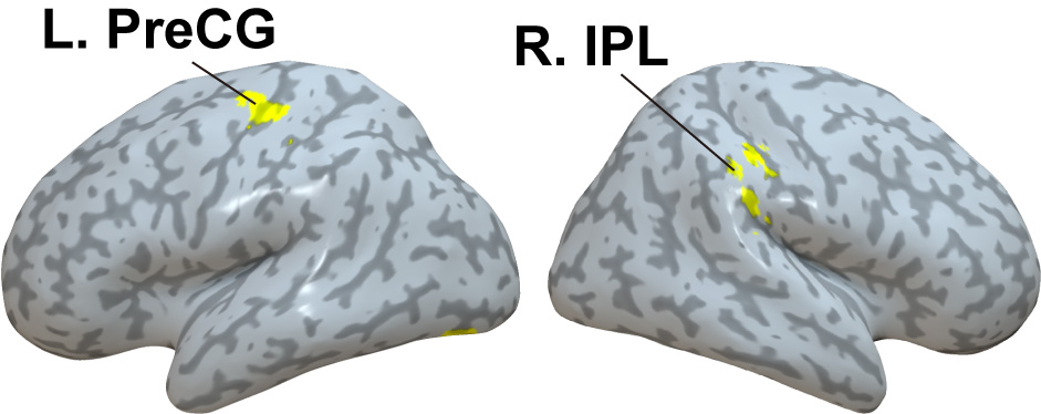 Comment le cerveau des enfants apprend-il les chiffres arabes ?
