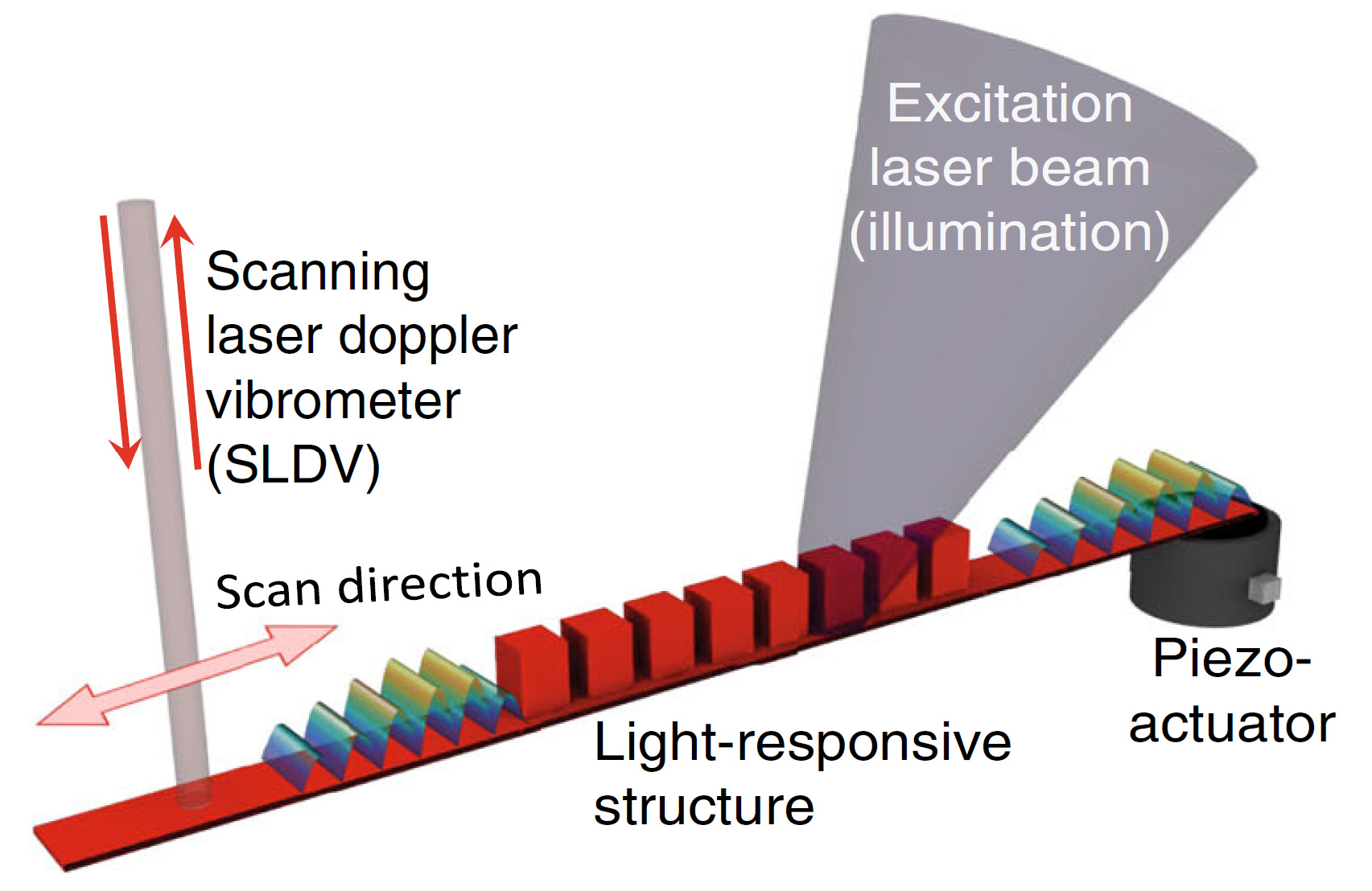 Moduler les propriétés élastiques d'un matériau par des stimuli lumineux