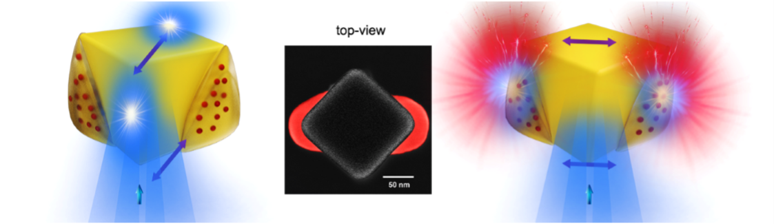 Des nanosources de lumière commandées par la polarisation