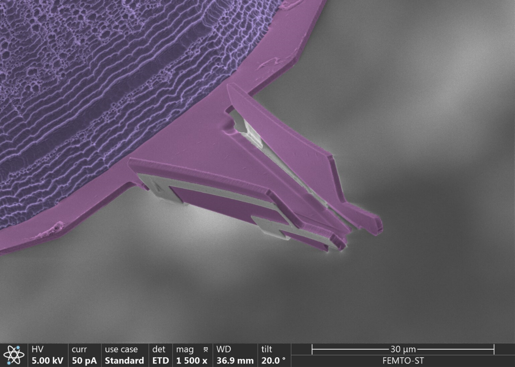 Des structures nanorobotiques réalisées à partir de silice