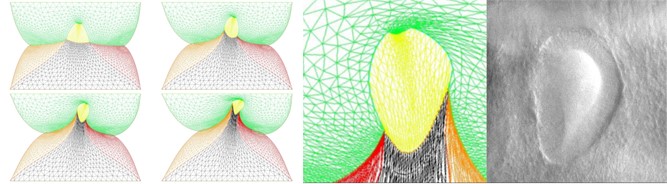 La formation du visage, ramenée aux premiers principes